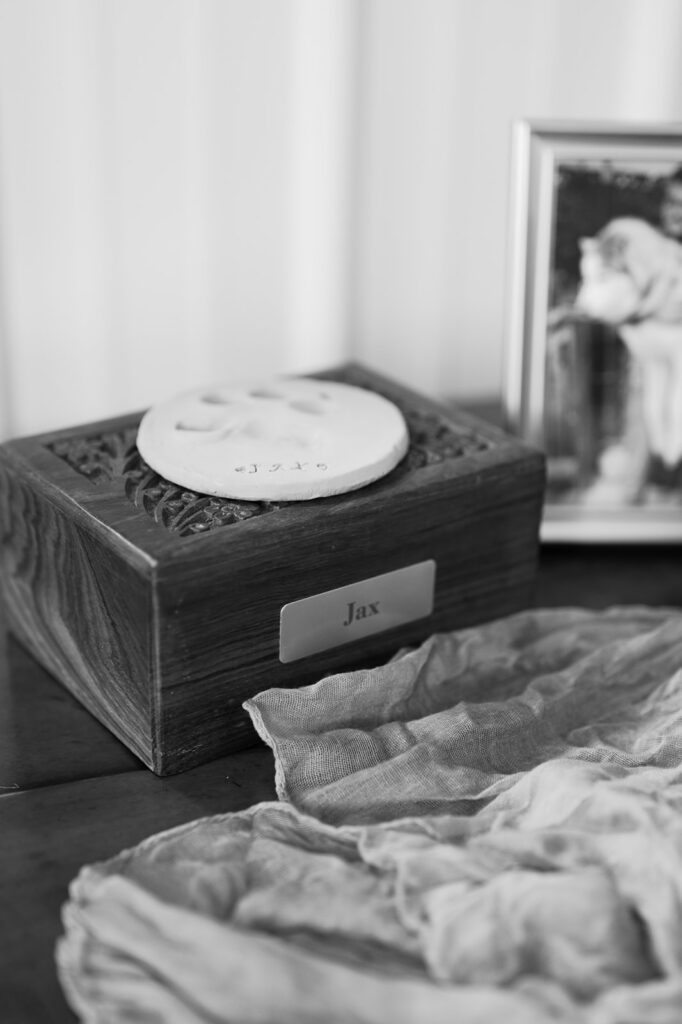 The wooden box honoring dog, Jax, at a wedding at The Summit at Cross Mountain.